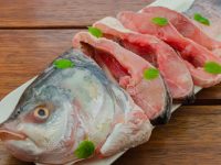 Top seven fish suppliers in Singapore for all your need.