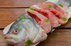 Top seven fish suppliers in Singapore for all your need.