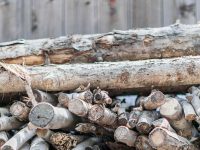Explore the Finest Firewood for Sale to Keep Your Home Aglow
